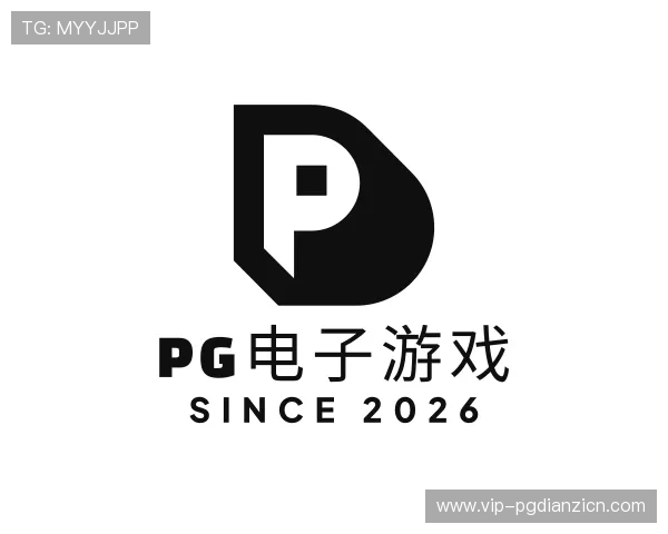 关于pg电子游戏